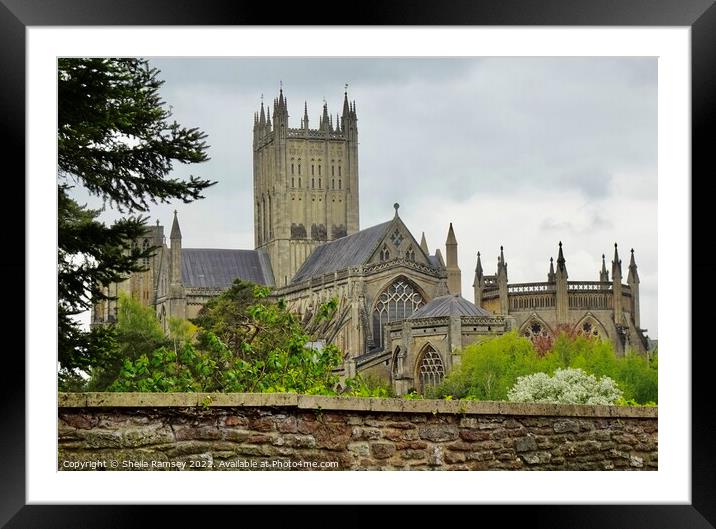 Wells Cathedral Framed Mounted Print by Sheila Ramsey