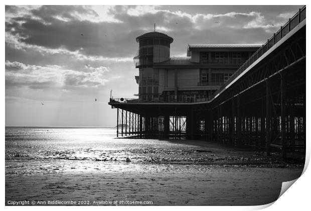 Black and white Weston-Super-Mare  under the pier Print by Ann Biddlecombe