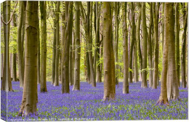 woodland bluebells Canvas Print by Simon Johnson