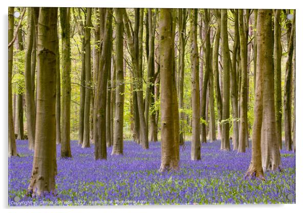 woodland bluebells Acrylic by Simon Johnson