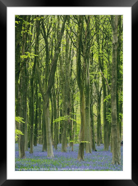 Blkuebell woodland Framed Mounted Print by Simon Johnson