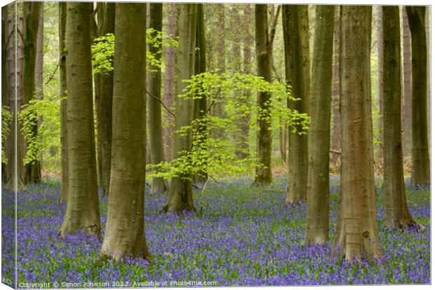 woodland bluebells Canvas Print by Simon Johnson