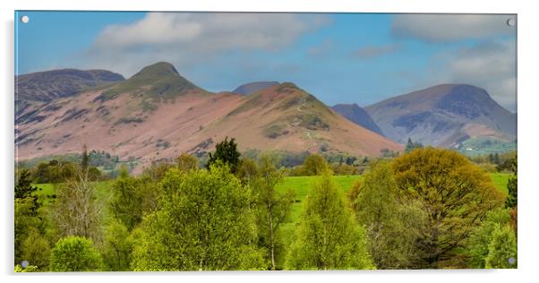 Catbells Acrylic by Roger Green