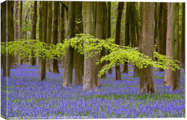 leaves and bluebells Canvas Print by Simon Johnson