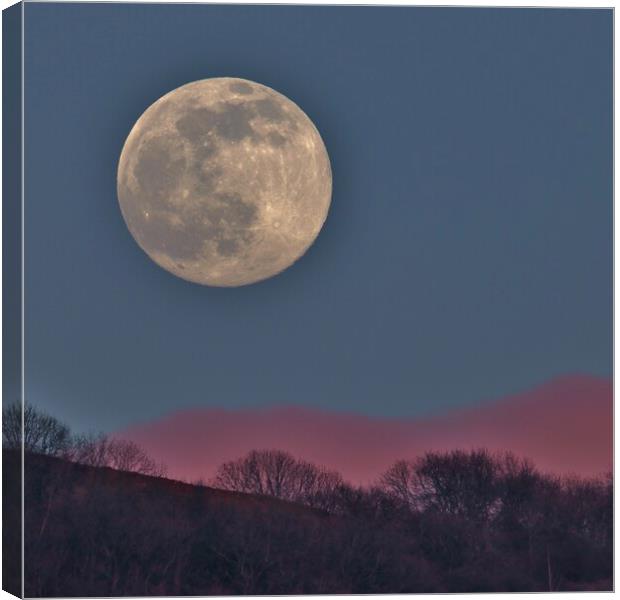 Full Worm Moonrise Canvas Print by Susan Snow