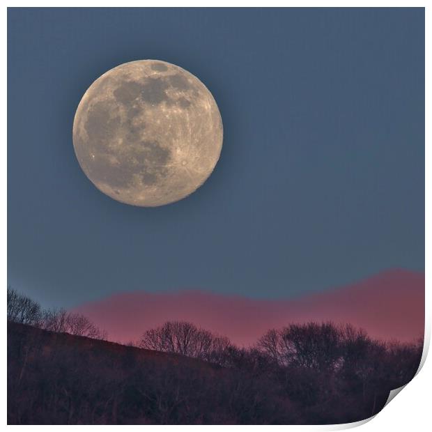 Full Worm Moonrise Print by Susan Snow