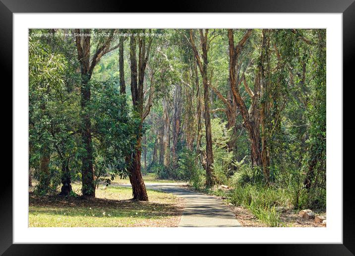 THE PATHWAY Framed Mounted Print by Irene Sosnowski