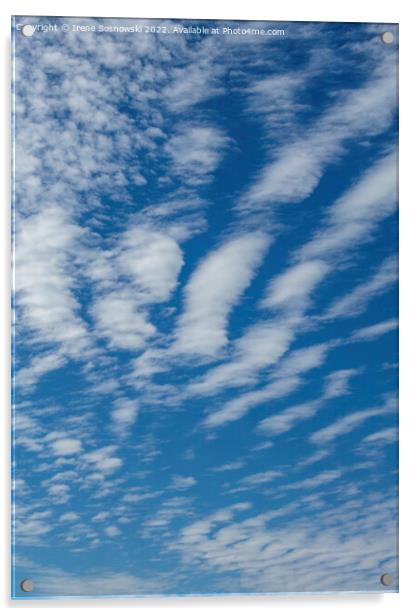 PATTERNS IN THE SKY Acrylic by Irene Sosnowski