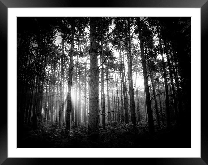 Following the light Framed Mounted Print by Marcus Scott