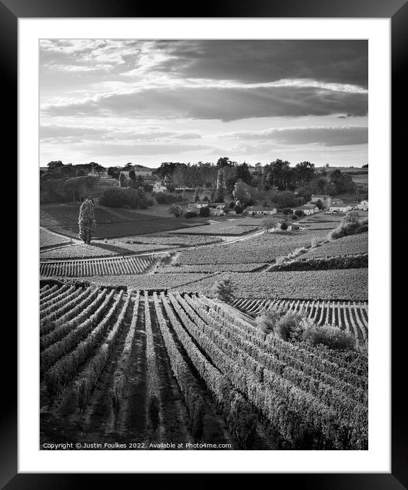 Vineyards near St Emilion, Bordeaux; France Framed Mounted Print by Justin Foulkes