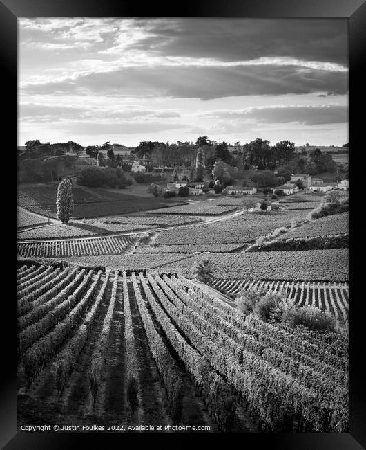 Vineyards near St Emilion, Bordeaux; France Framed Print by Justin Foulkes