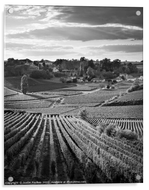 Vineyards near St Emilion, Bordeaux; France Acrylic by Justin Foulkes