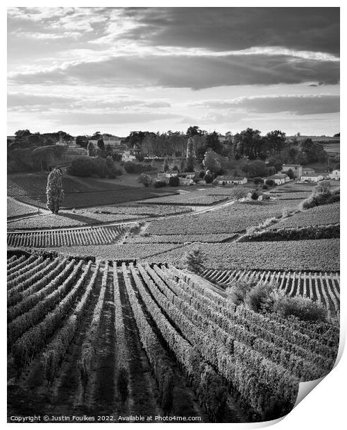 Vineyards near St Emilion, Bordeaux; France Print by Justin Foulkes