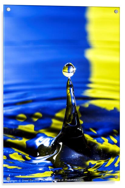 Water Drop Acrylic by Drew Gardner