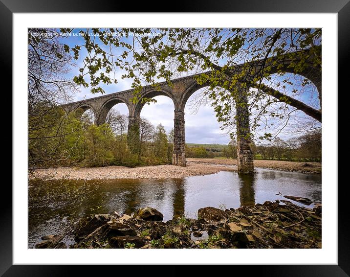 Northumberland viaduct  Framed Mounted Print by Aimie Burley