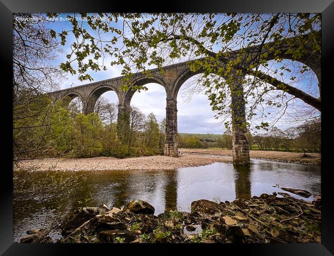 Northumberland viaduct  Framed Print by Aimie Burley