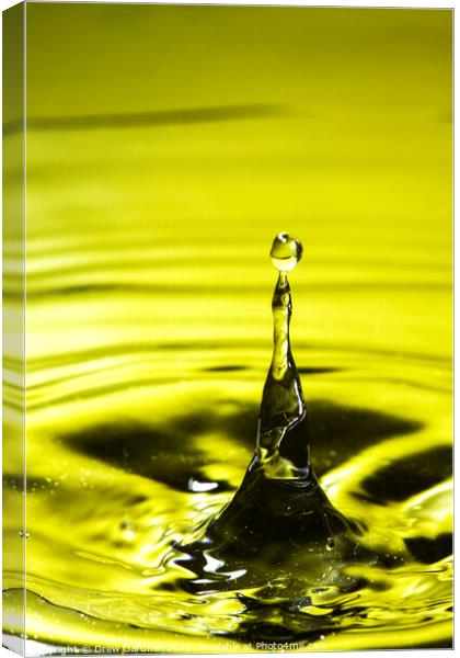 Yellow Droplet Canvas Print by Drew Gardner