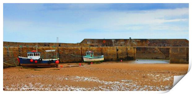Cullen harbour at low tide Print by ANN RENFREW