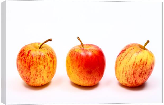 Three Apples Canvas Print by Drew Gardner
