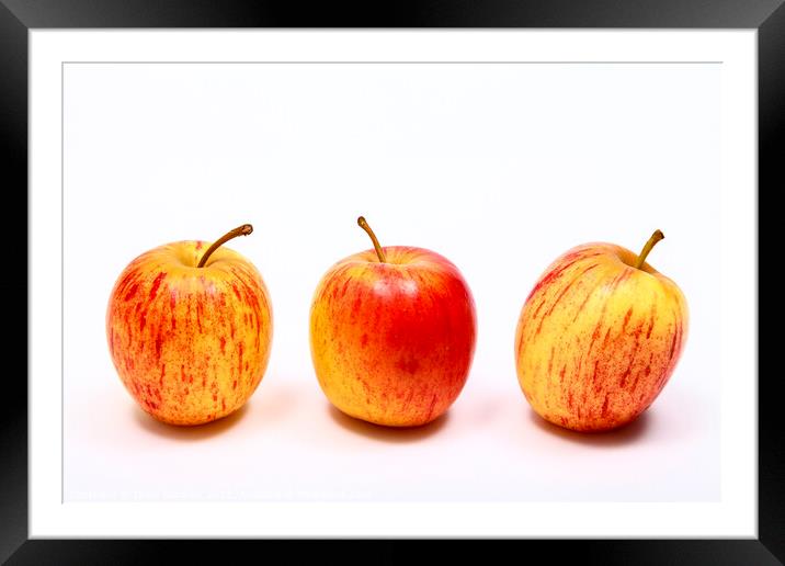 Three Apples Framed Mounted Print by Drew Gardner