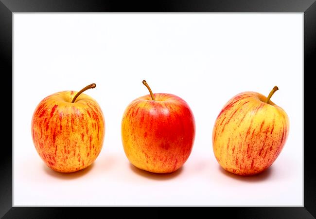 Three Apples Framed Print by Drew Gardner