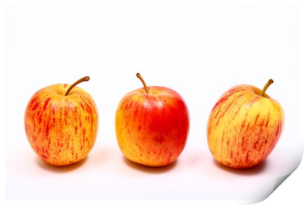 Three Apples Print by Drew Gardner
