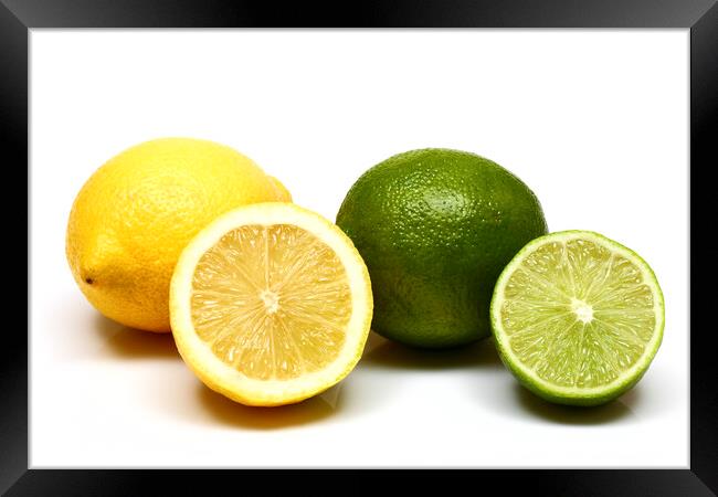 Lemons and Limes Framed Print by Drew Gardner