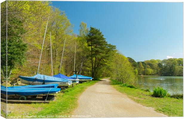 Talkin Tarn, Cumbria Canvas Print by Heather Athey