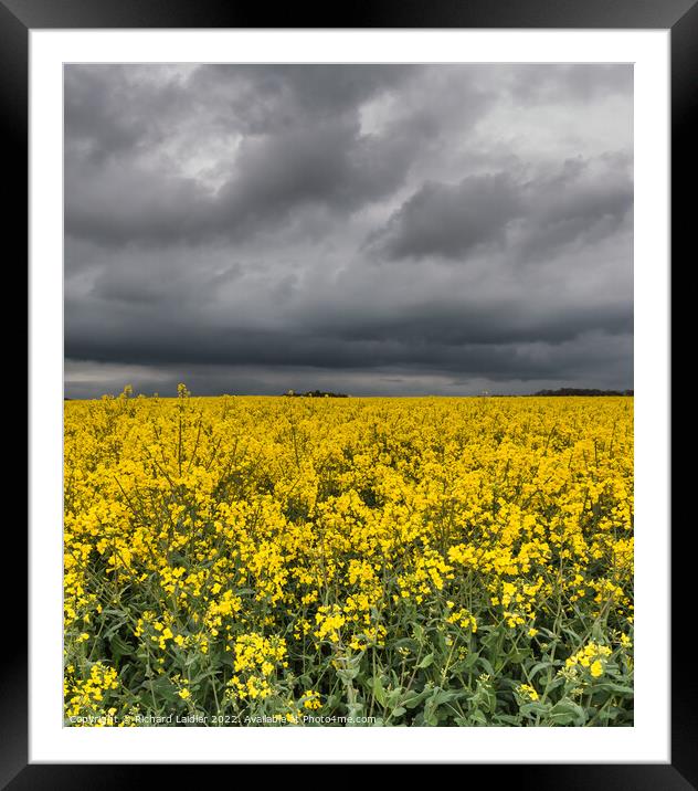 Yellow Rape Field and Sinister Sky Framed Mounted Print by Richard Laidler