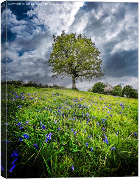 "Serenity in the Valley of Bluebells" Canvas Print by Lee Kershaw