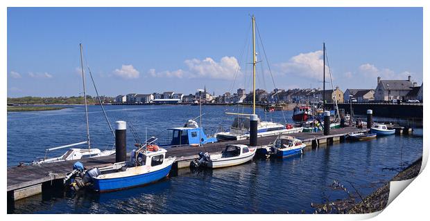Irvine harbour and town Print by Allan Durward Photography