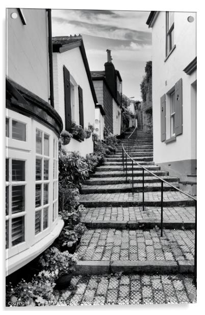 Mount Flagon Steps, Dartmouth Acrylic by Stuart Wyatt