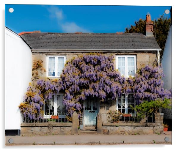 Wisteria Cottage Acrylic by Kevin Britland