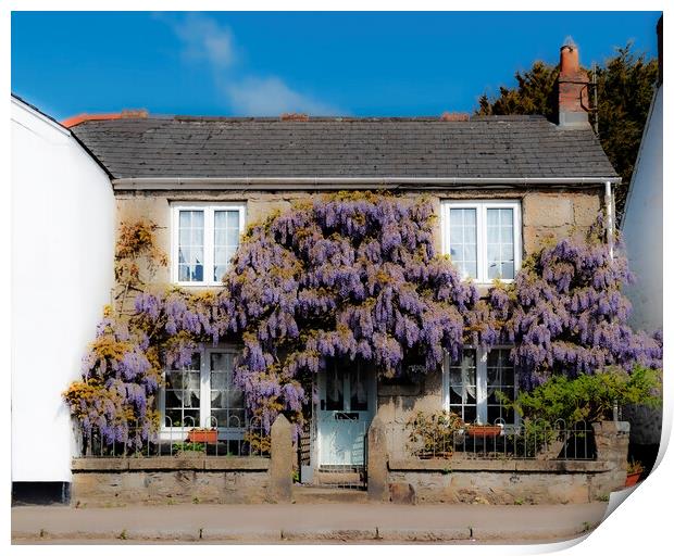Wisteria Cottage Print by Kevin Britland