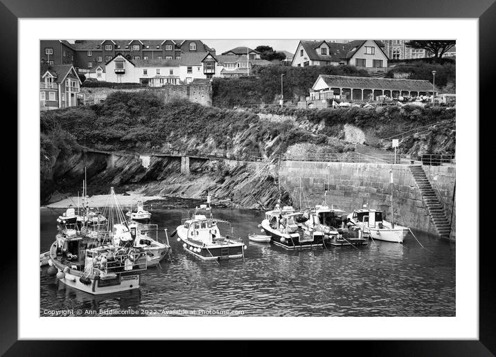 Newquay boats in the harbour Framed Mounted Print by Ann Biddlecombe