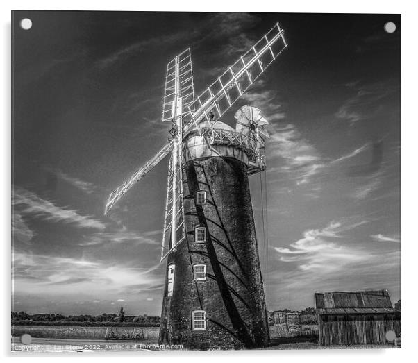 Norfolk windmill  Acrylic by Ian Stone
