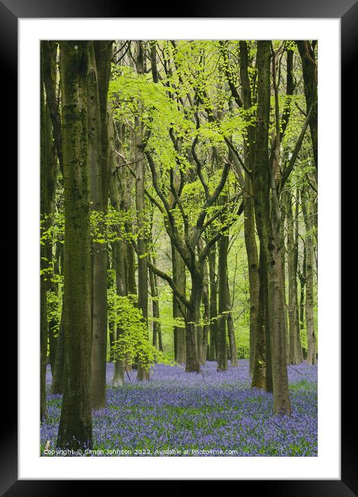 ~Bluebell Woodland Framed Mounted Print by Simon Johnson