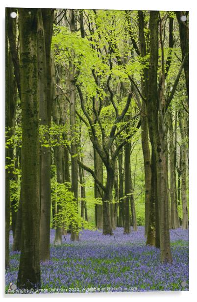 ~Bluebell Woodland Acrylic by Simon Johnson