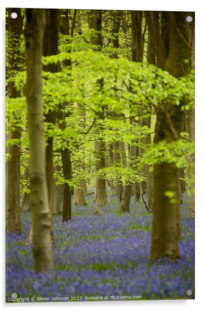 Bluebells Acrylic by Simon Johnson