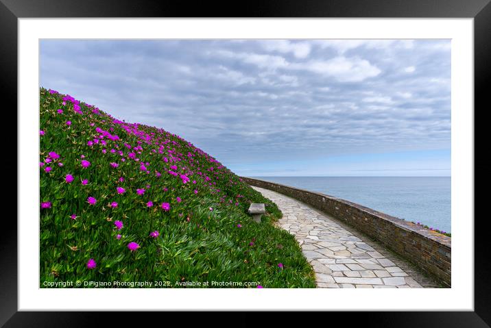 Paseo Maritimo de Foz Framed Mounted Print by DiFigiano Photography