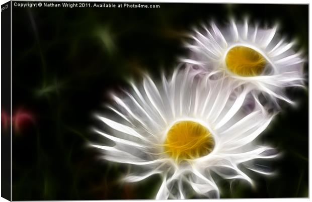 Two daisys Canvas Print by Nathan Wright