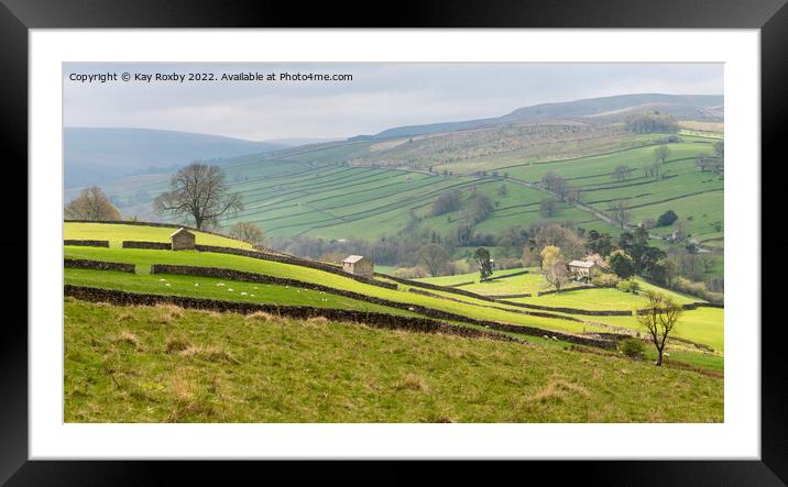Yorkshire Dales Framed Mounted Print by Kay Roxby