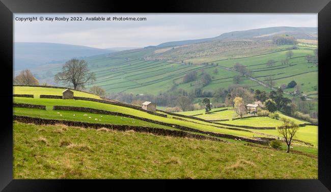 Yorkshire Dales Framed Print by Kay Roxby