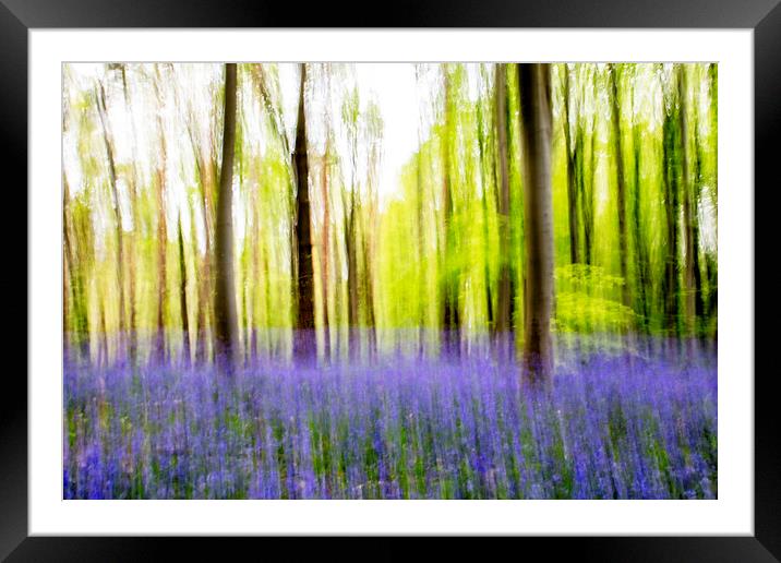 Bluebell Abstract Framed Mounted Print by Picture Wizard