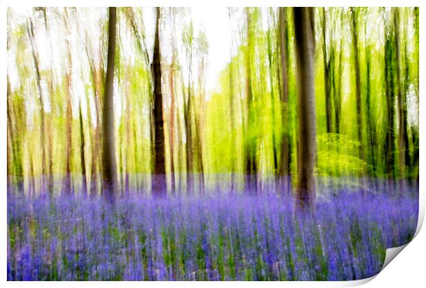 Bluebell Abstract Print by Picture Wizard
