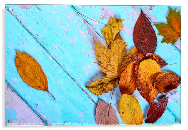 Autumn Leaves Acrylic by Drew Gardner