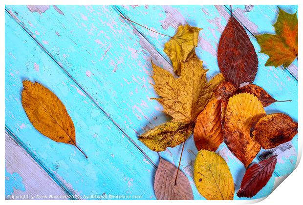 Autumn Leaves Print by Drew Gardner
