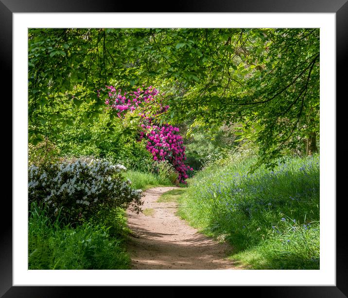 A beautiful walk in the countryside Framed Mounted Print by Jo Sowden