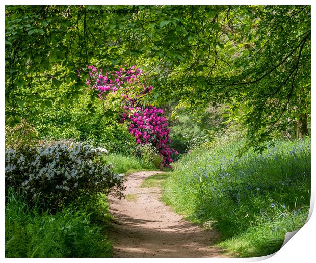A beautiful walk in the countryside Print by Jo Sowden