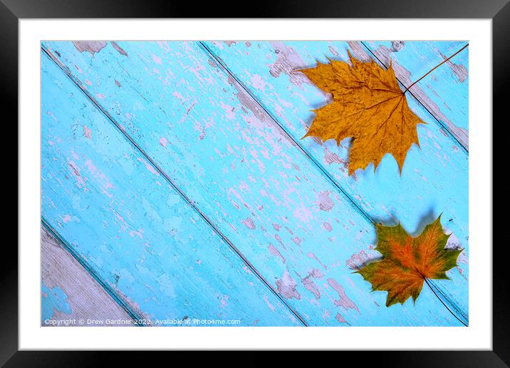 Autumnal Leaves Framed Mounted Print by Drew Gardner
